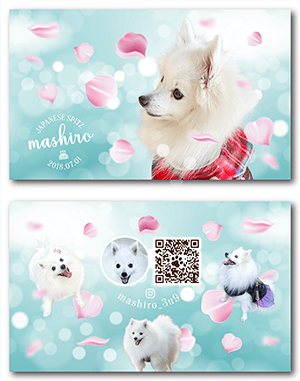 犬のペット名刺