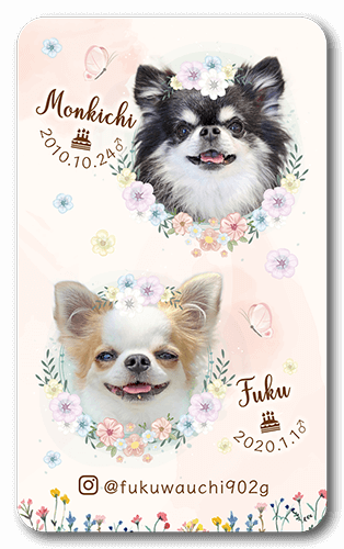 ペット名刺画像