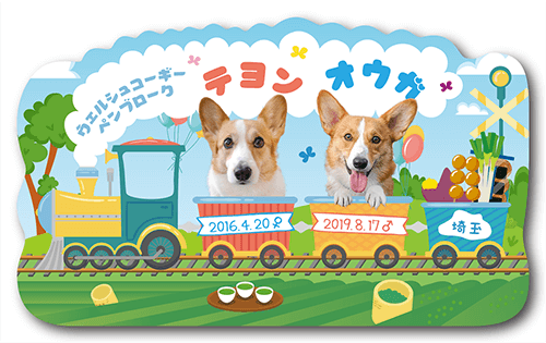 型抜きペット名刺の表面画像