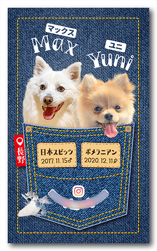 長方形ペット名刺画像