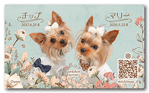 犬（多頭飼い）のペット名刺