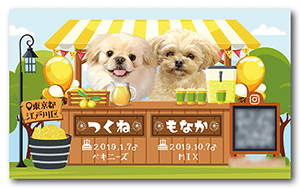 犬（多頭飼い）のペット名刺