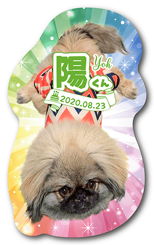 型抜きペット名刺の表面画像