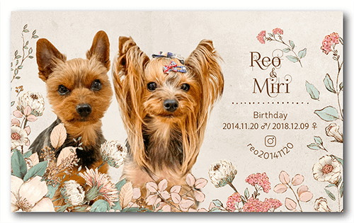 長方形ペット名刺の表面画像