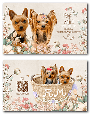 チンチラ（多頭飼い）のペット名刺