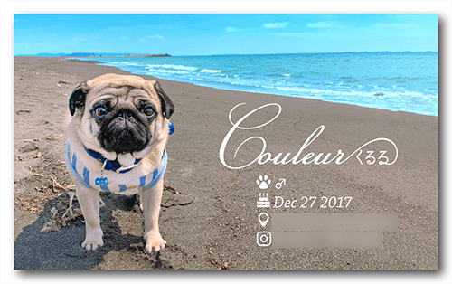 犬の長方形ペット名刺画像