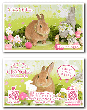 うさぎのペット名刺