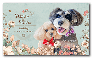 犬（多頭飼い）のペット名刺