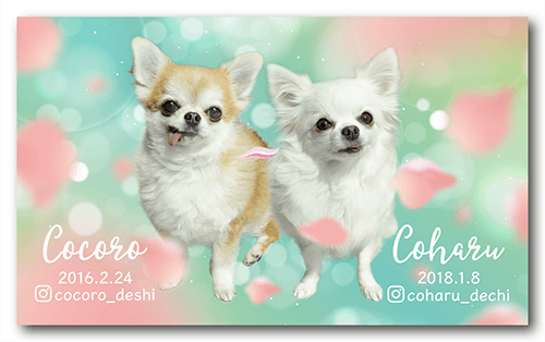 長方形ペット名刺の表面画像