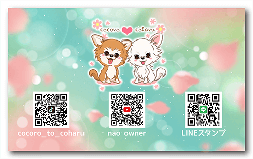 長方形ペット名刺の裏面画像