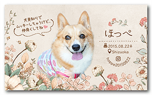 犬のペット名刺