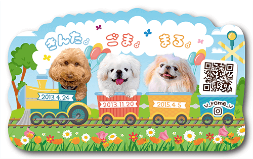 型抜きペット名刺の表面画像