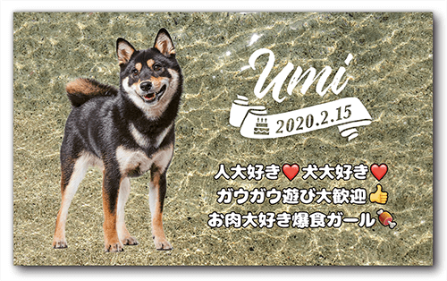 長方形ペット名刺の表面画像