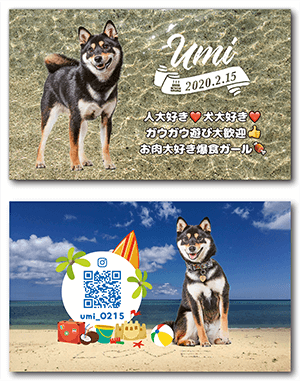 犬のペット名刺
