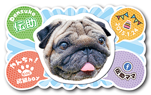 犬のペット名刺