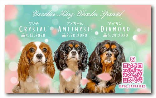 長方形ペット名刺の表面画像