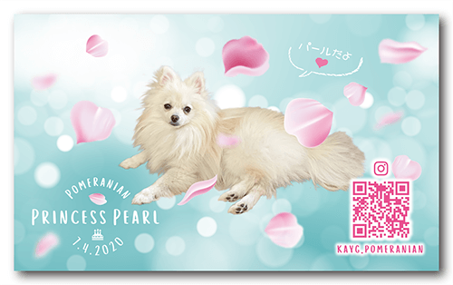 長方形ペット名刺の裏面画像