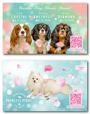 犬（多頭飼い）のペット名刺