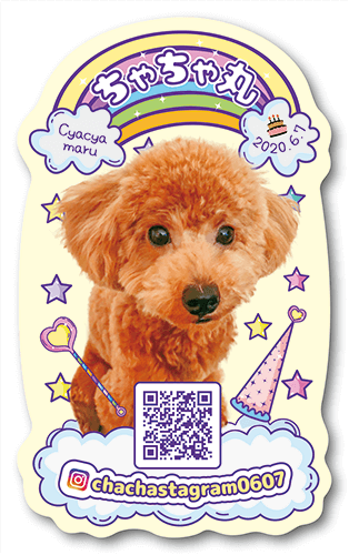 型抜きペット名刺画像