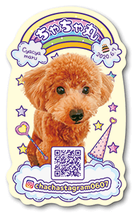 犬のペット名刺