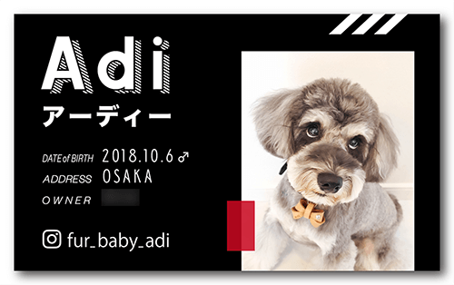 長方形ペット名刺の表面画像