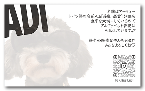 長方形ペット名刺の裏面画像