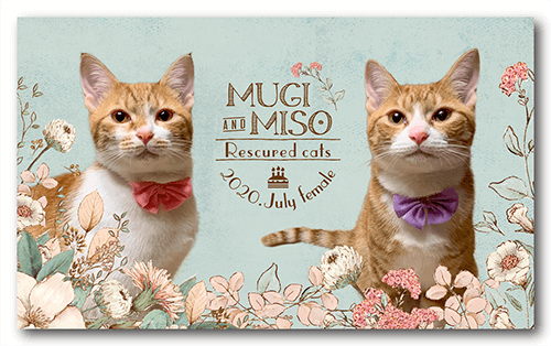 長方形ペット名刺の表面画像