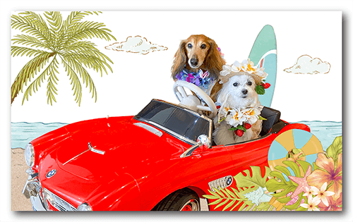 長方形ペット名刺の裏面画像