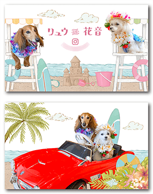 犬（多頭飼い）のペット名刺