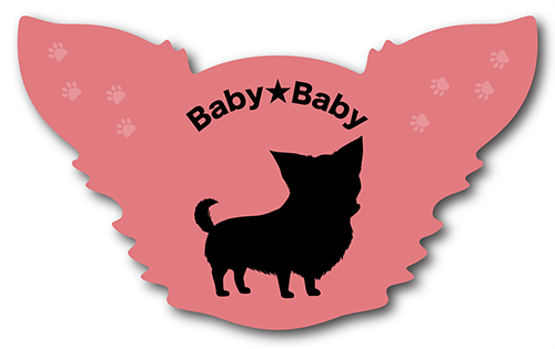 型抜きペット名刺の表面画像