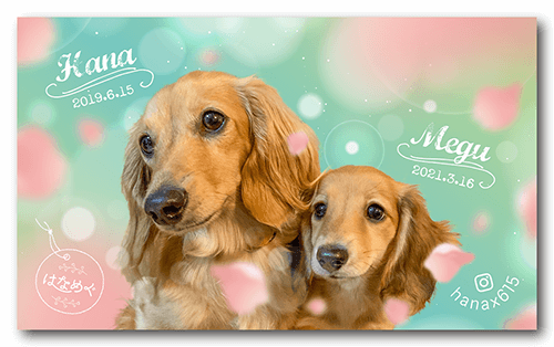 犬の長方形ペット名刺画像