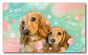 犬（多頭飼い）のペット名刺