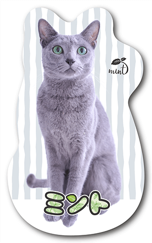 長方形ペット名刺の表面画像