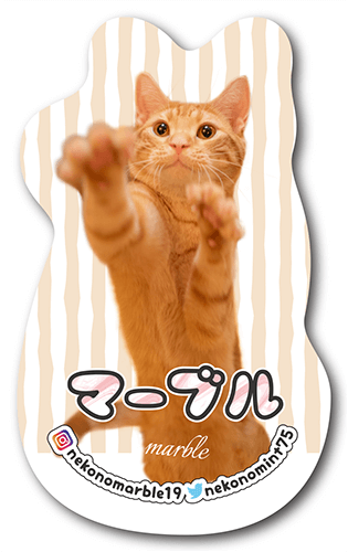 長方形ペット名刺の裏面画像