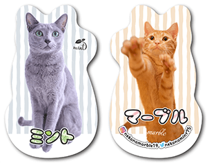 猫（多頭飼い）のペット名刺