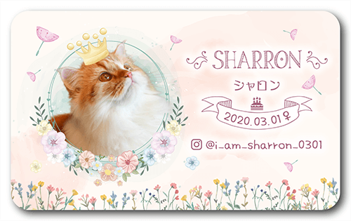 長方形ペット名刺の表面画像
