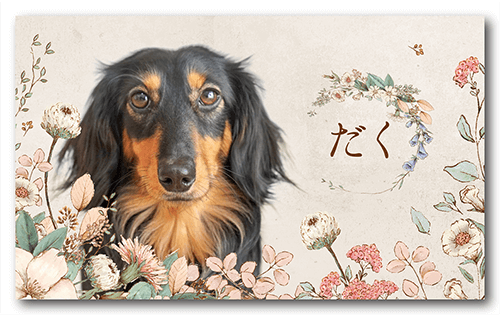 犬の長方形ペット名刺画像