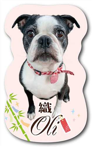 長方形ペット名刺の表面画像