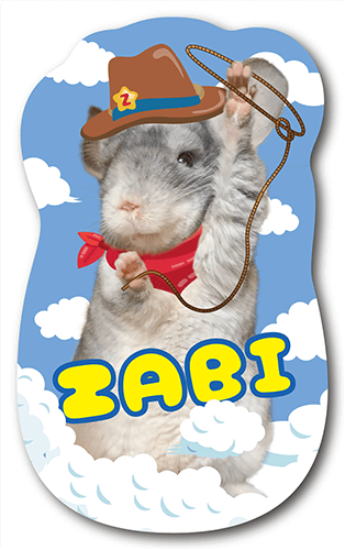 型抜きペット名刺の表面画像