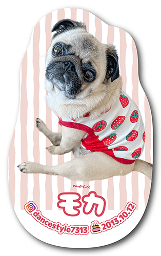 型抜きペット名刺画像