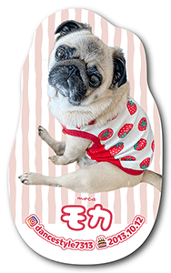 犬のペット名刺