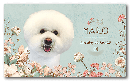 犬の長方形ペット名刺画像