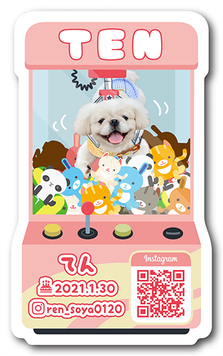 ペット名刺画像