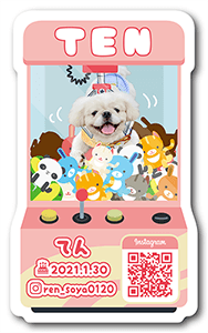 犬のペット名刺