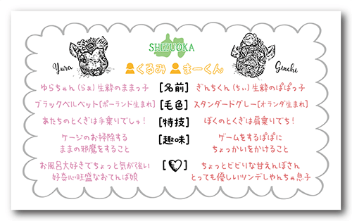 長方形ペット名刺の裏面画像