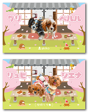 チンチラ（多頭飼い）のペット名刺