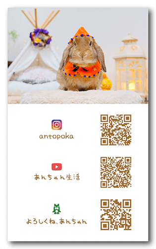 長方形ペット名刺の裏面画像