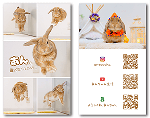 犬のペット名刺