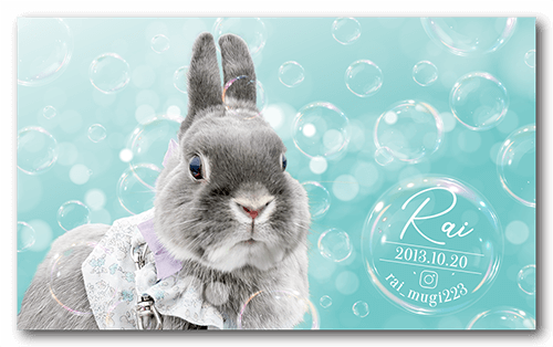 うさぎの長方形ペット名刺画像