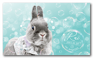 うさぎのペット名刺